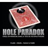 HOLE PARADOX