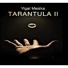 Tarantula 2 - Yigal Mesika