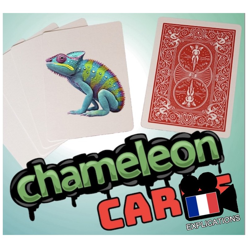 Chameleon Cards: Tour de petit paquet pas cher