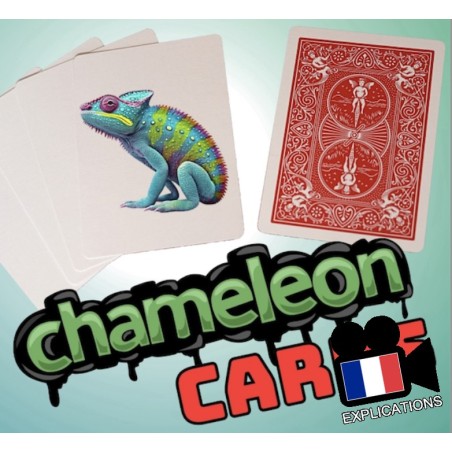 Chameleon Cards: Tour de petit paquet pas cher