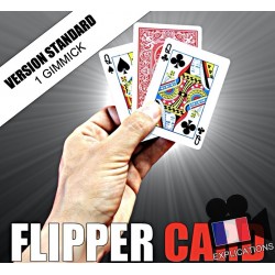 FLIPPER CARD - VERSION STANDARD (1 GIMMICK)