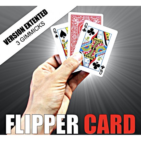 Flipper Card Extented
